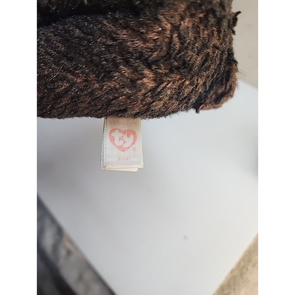 Ty Beanie Babies Boos Kodi The Black And Brown Bear Plush Stuffed Toy 7" 2021 - Picture 6 of 6